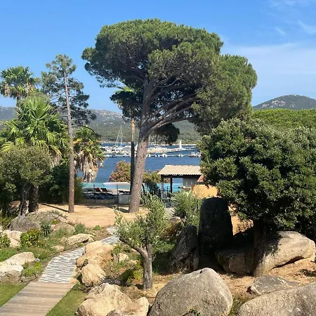 Apartment Alba D'Oru - T2 Vue Mer, Plage Et Piscine Chauffee *